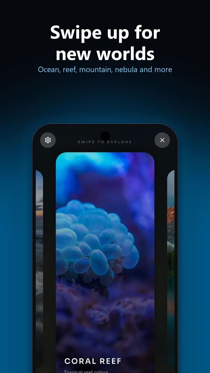 Theme carousel in the calm app with the Coral Reef scene in front