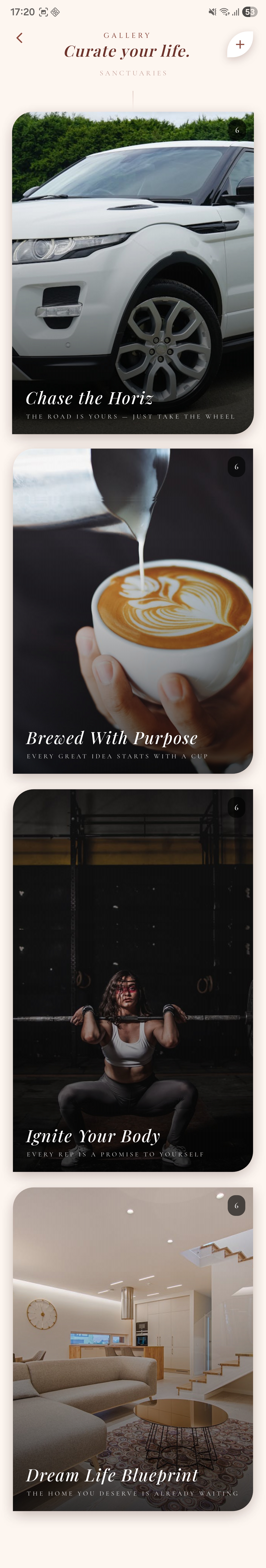 Vision Boards Section